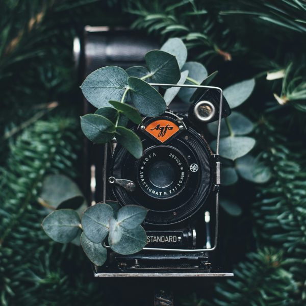 annie-spratt-ihDcta7Kvqg-unsplash